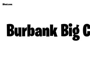 burbank big condensed bold