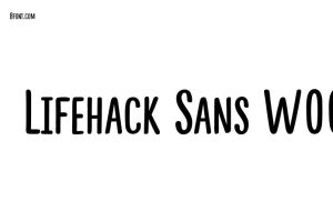 lifehack script free font
