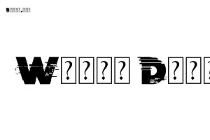 Wrong Delivery - Graphic Design Fonts