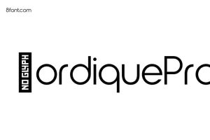 Nordique Pro Bold Graphic Design Fonts