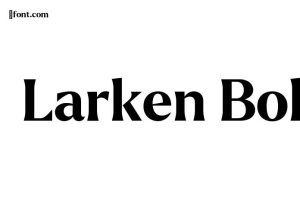 Larken Bold Font - Free Font Download