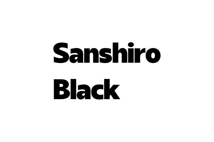 Sanshiro Black Font - Graphic Design Fonts