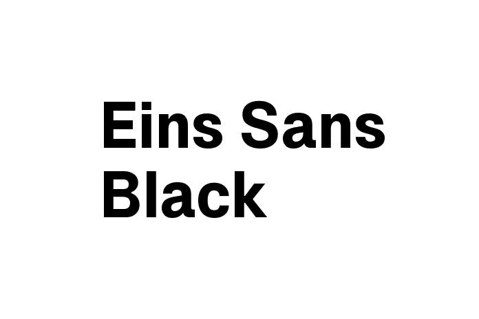 Eins Sans Black Font - Graphic Design Fonts
