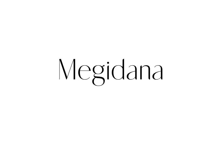 Megidana Font - Graphic Design Fonts