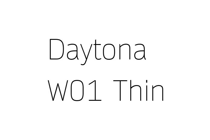 Daytona W01 Thin Font - Graphic Design Fonts