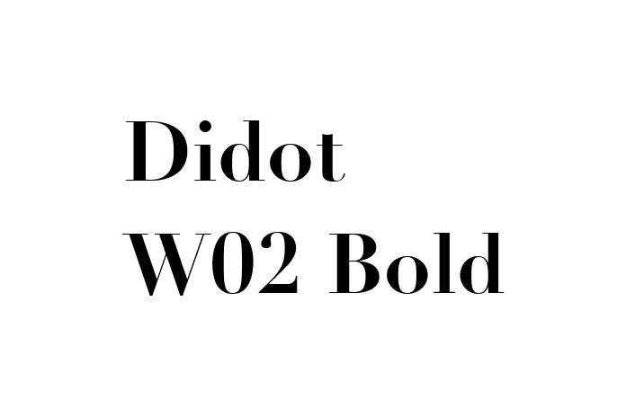 Didot W02 Bold Font - Free Font Download