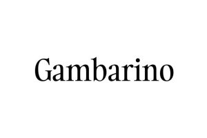 Beyond The Hype A Deep Dive Into Gambarino Font - bv7esgw
