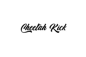 Cheetah Kick Font Free Font Download Cheetah Kick Font Free Font Download